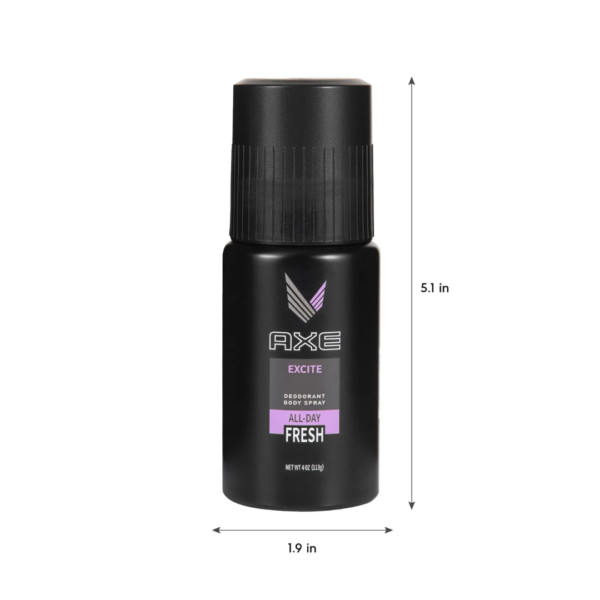 Excite AXE Deodorant Body Spray Diversion Stash Safe Can