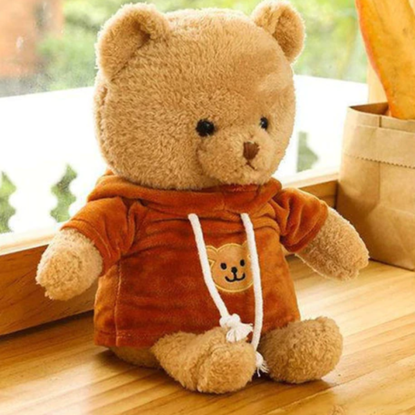 Teddy Bear Diversion Stash Safe